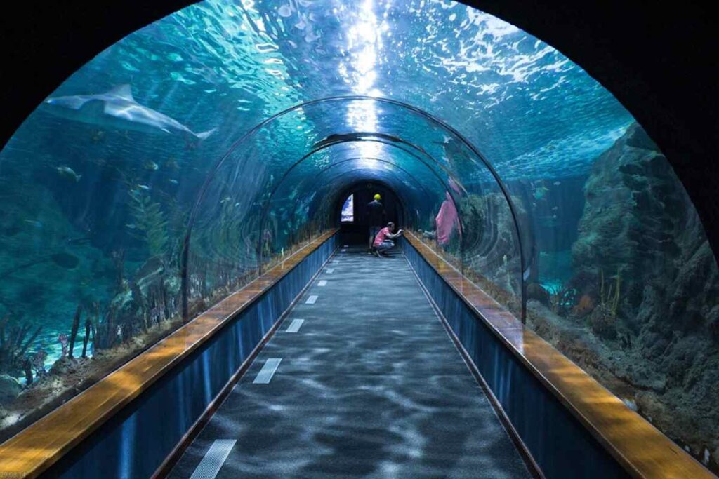 Aquariums in the US