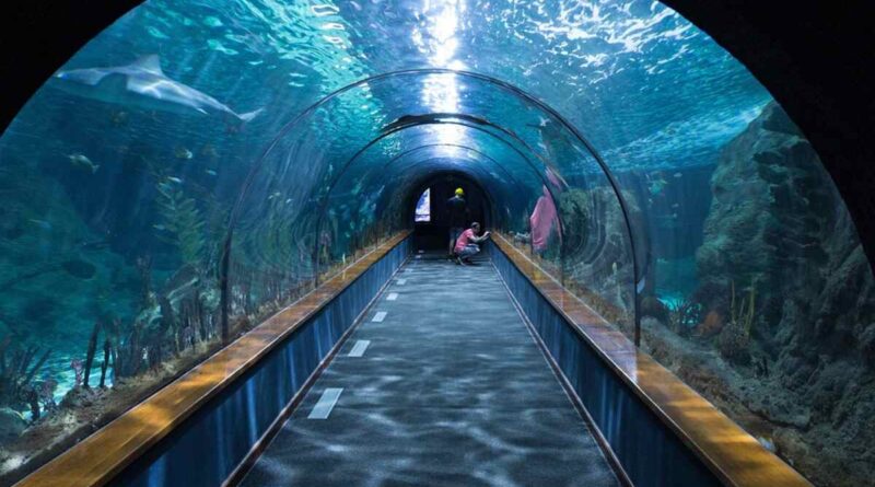 Aquariums in the US