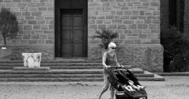 Double Stroller