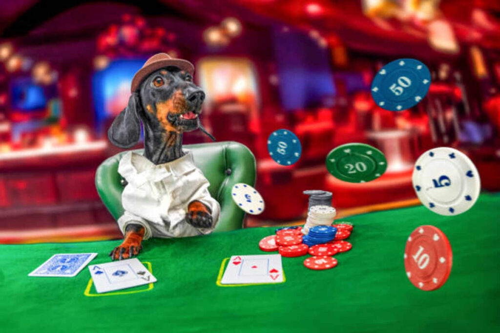 Comprehending Betfido A Comprehensive Overview