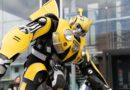 Unveiling Fallout Robots