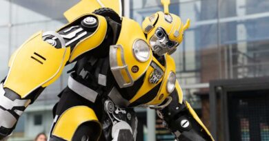 Unveiling Fallout Robots