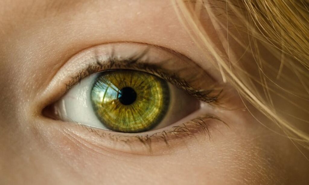 lash extensions