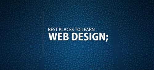 5 Important Guidelines In Web Site Design