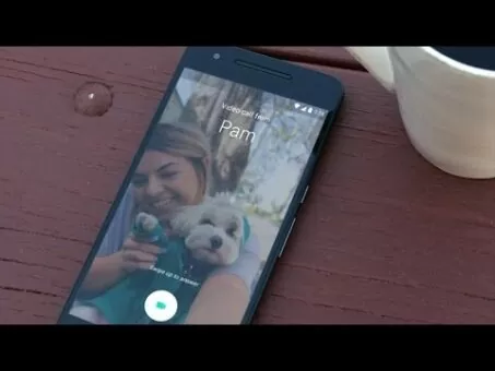 How does Google Duo examine to Skype and Facetime?