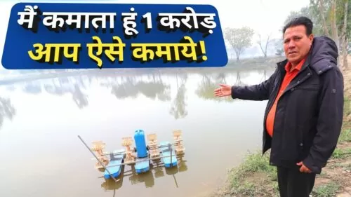 How you can Begin Fish Farming in India|Funding Revenue newbie Ideas By Sultan Fish Farm