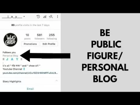 || How one can add PUBLIC FIGURE or PERSONAL BLOG subtitle in instagram || Jay chavda ||