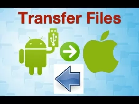 Switch information from Android to a Mac
