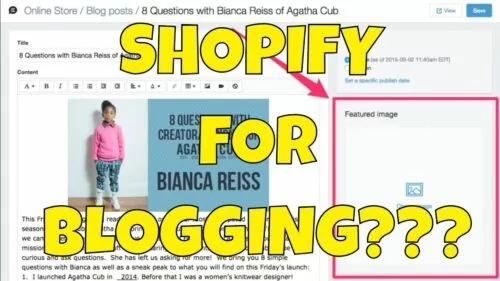 Utilizing Shopify as a Running a blog Platform As a substitute of WordPress, is that Silly?