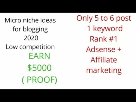 Most PROFITABLE MICRO NICHE TOPIC/IDEA FOR BLOGGING 2020 ( #1 on Google) Earn $5000 PROOF