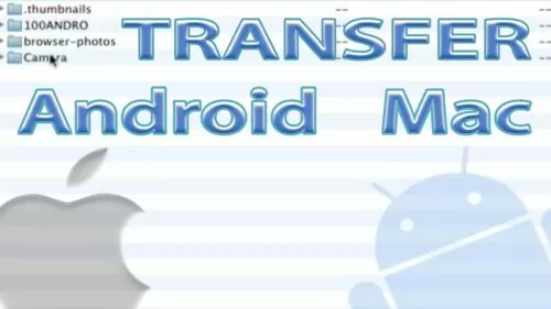 Android File Switch – Learn how to Switch Android Information to Mac