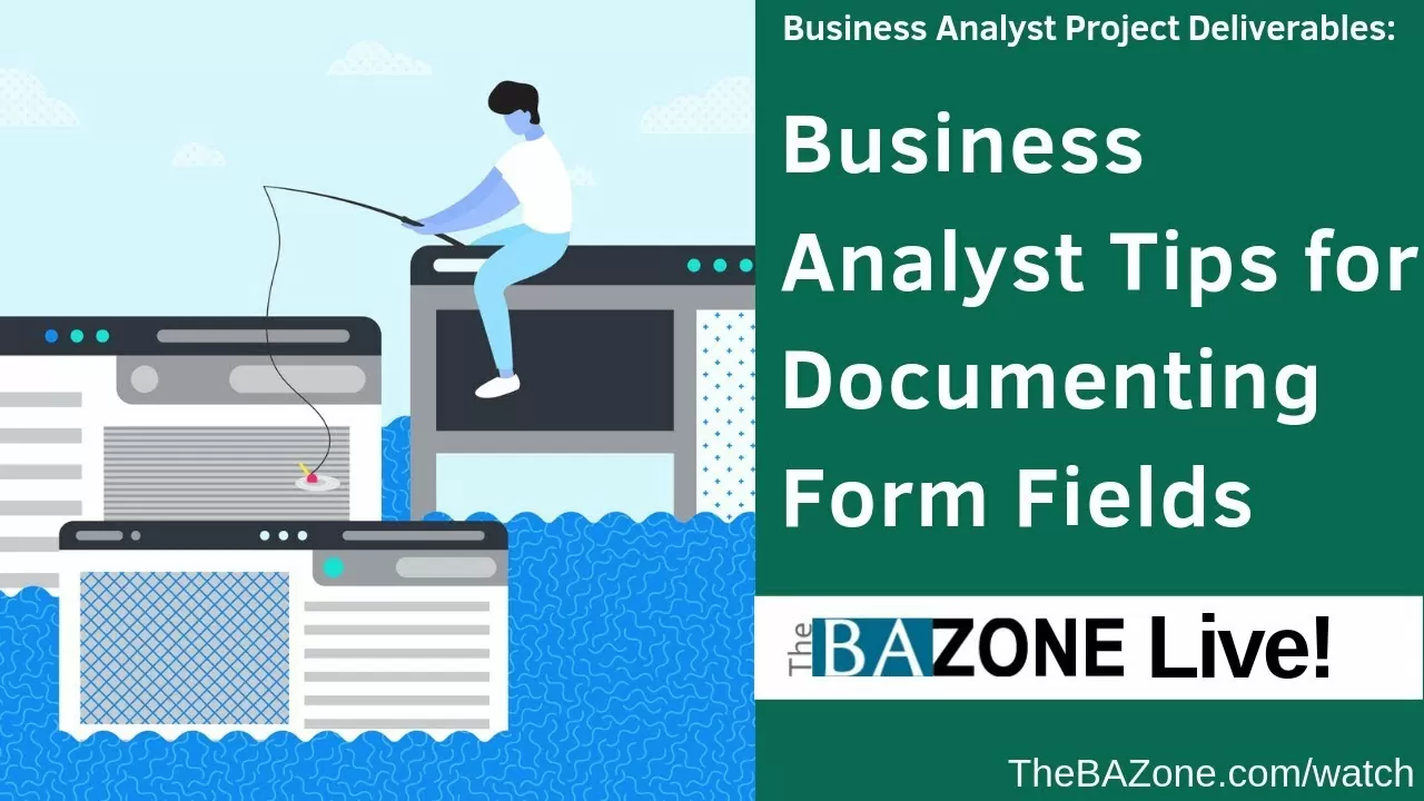 Enterprise Analyst Suggestions for Documenting Kind Fields