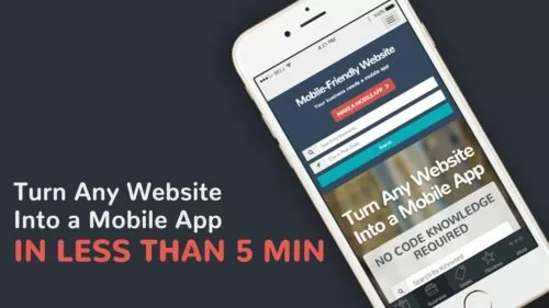 Methods to Flip a Web site right into a Cellular App