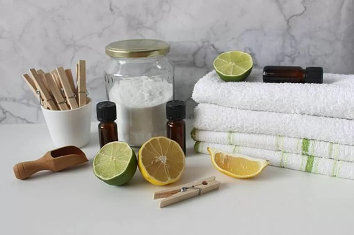 How to Detox in Home